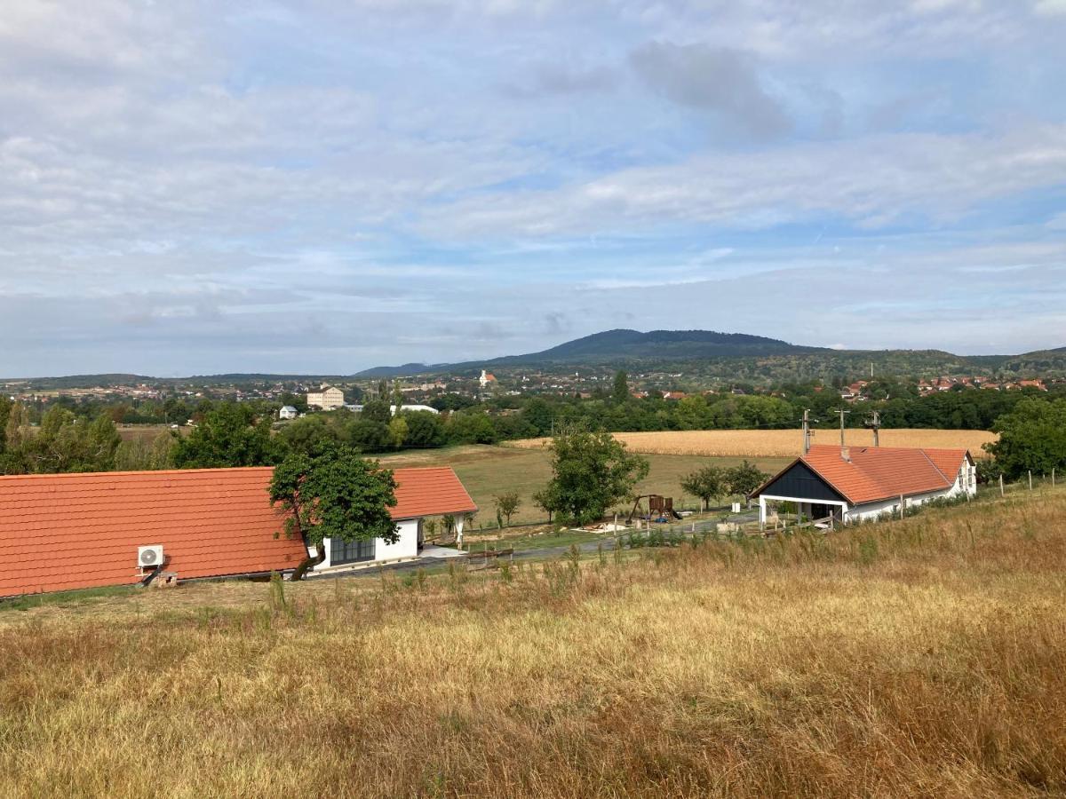 Pécsvárad Kishosszuret Vendeghaz酒店 外观 照片